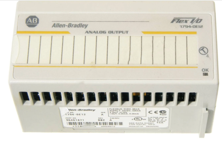 ALLEN BRADLEY 1794-OE12 24Vdc Selectable Analog 12 Output Modu       